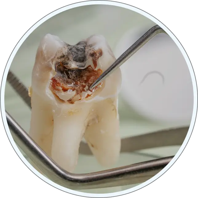 Cosmetic Dentistry Mobile