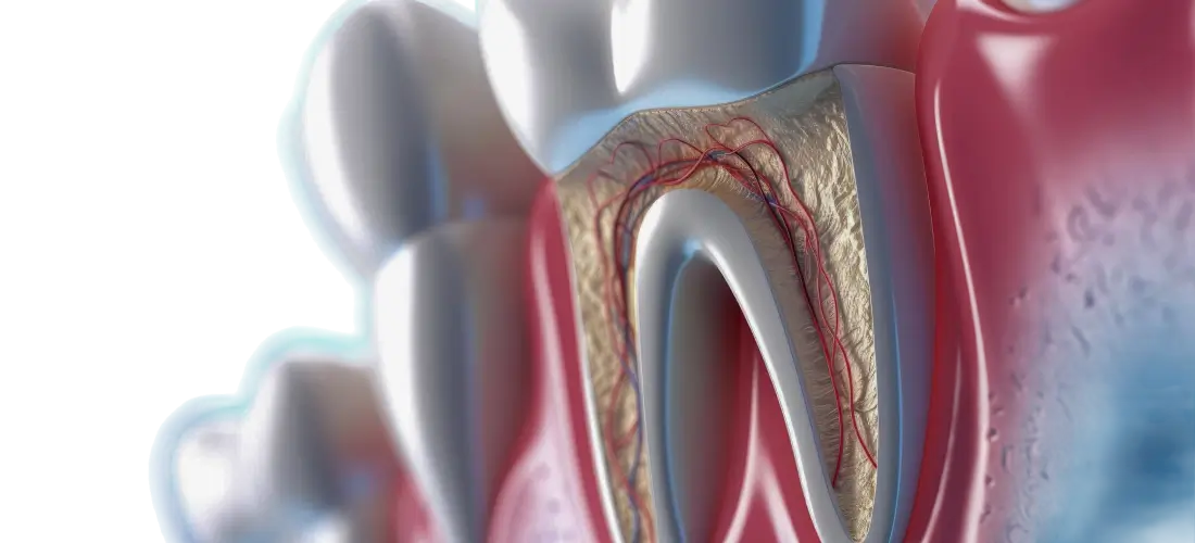 Endodontics Banner